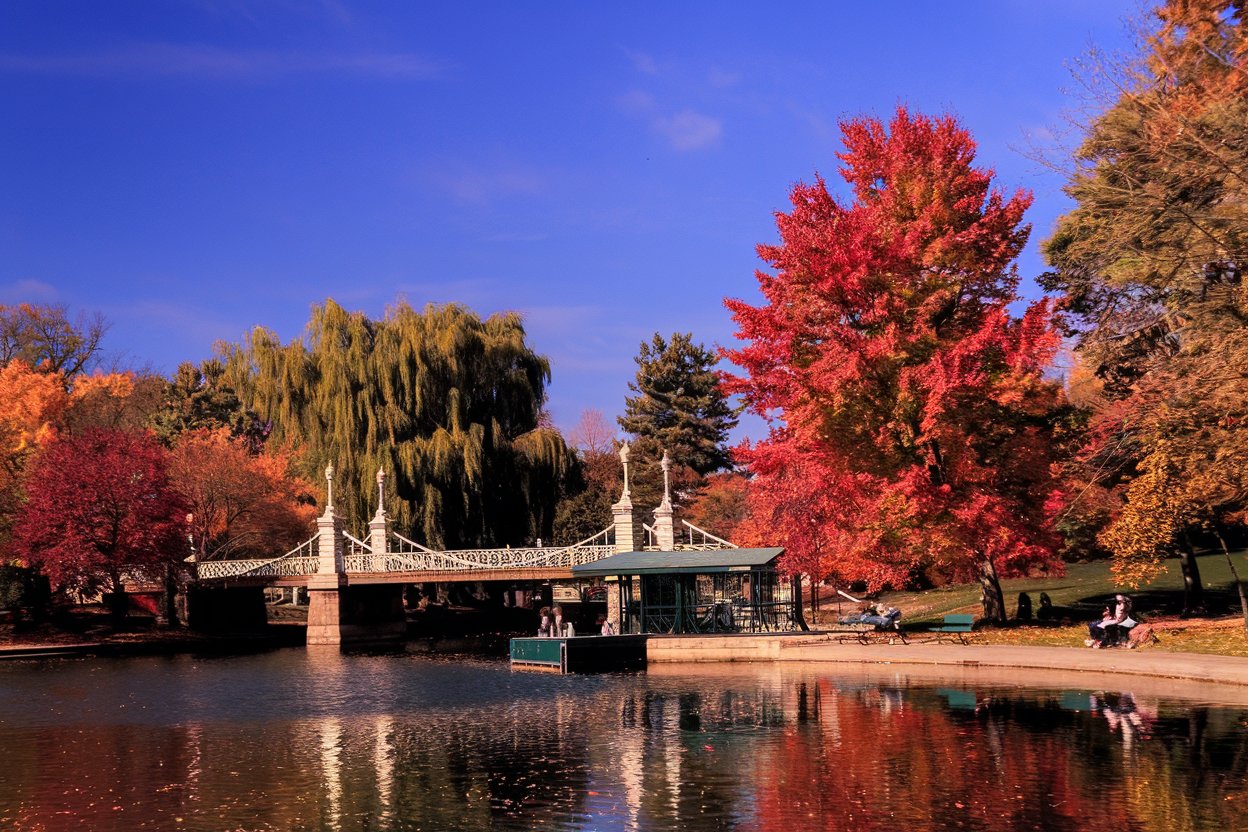 Boston Common, the oldest public park in the U.S., and the nearby Boston Public Garden offer scenic paths, swan boats, and seasonal activities at the Frog Pond. Enjoy the Make Way for Ducklings sculpture and stunning views of the city skyline, making it perfect for a leisurely stroll or picnic in a historic setting