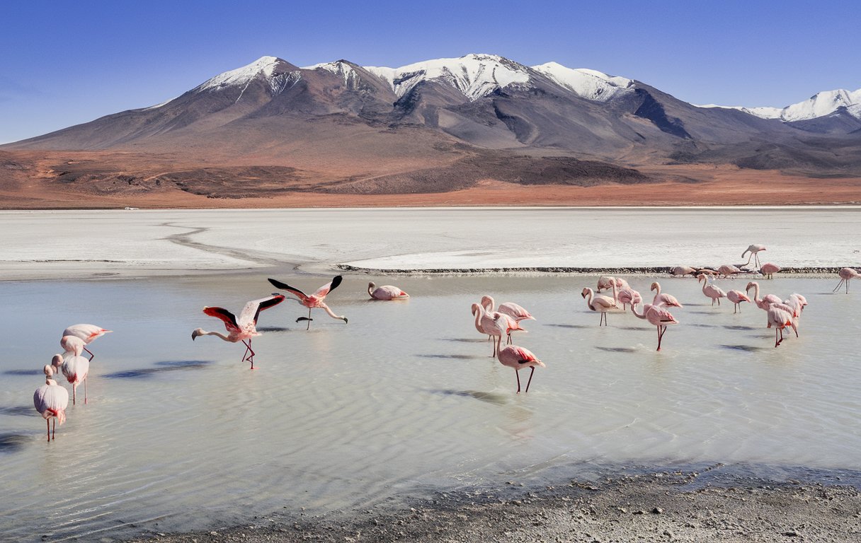 Budget-friendly travel in Bolivia with hostels from $5 per night, meals from $2, and attractions like the Uyuni Salt Flats, Lake Titicaca, and rich indigenous culture, offering great value for adventurous travelers