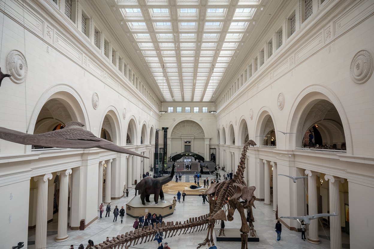 The grand entrance of the Field Museum of Natural History in Chicago, featuring its iconic columns and banners showcasing current exhibits