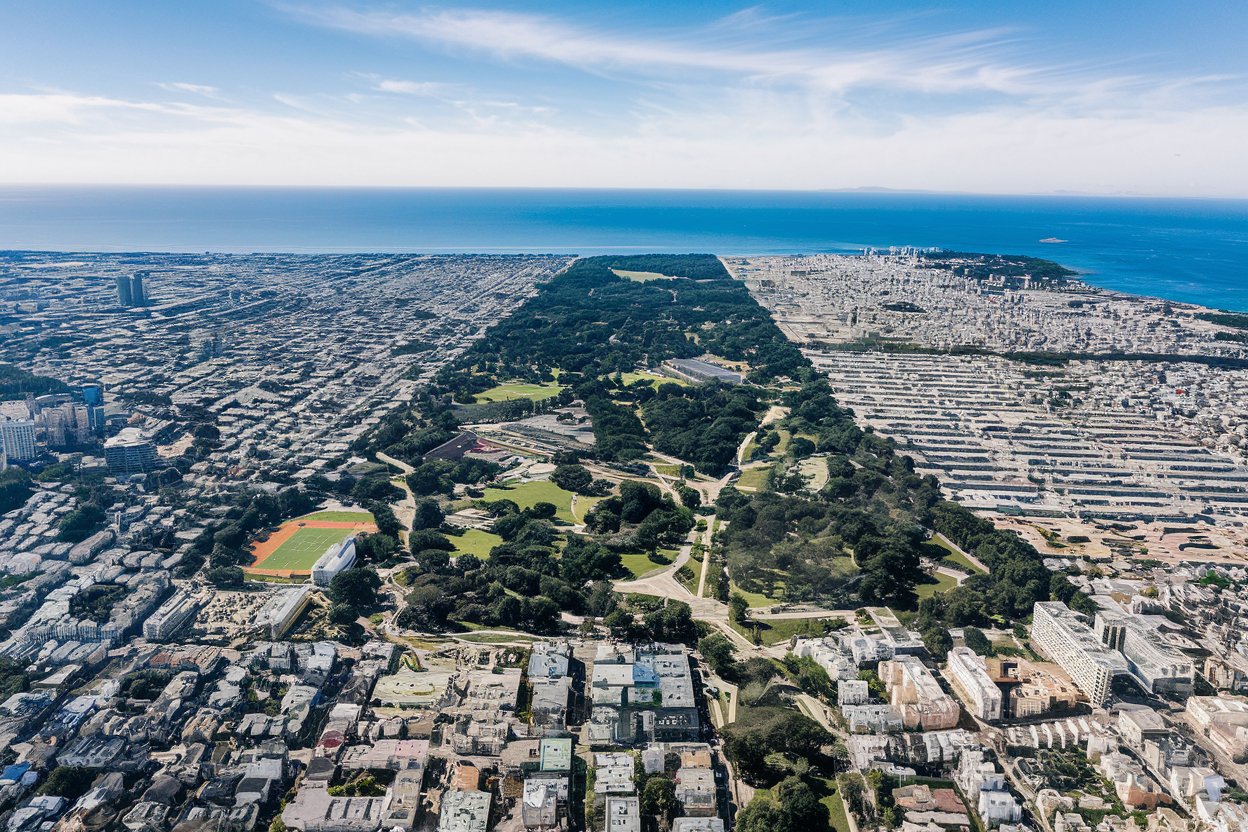 A serene view of Golden Gate Park with lush greenery, vibrant flowers, and a walking path leading to a scenic pond.