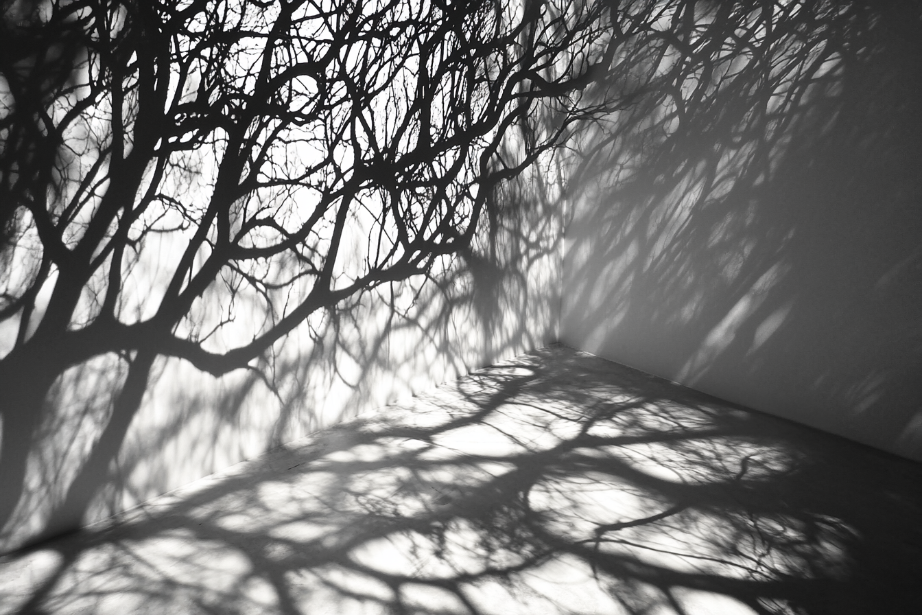 A dramatic black-and-white photo of a staircase with intricate shadows cast by railing patterns, creating mystery and dimension