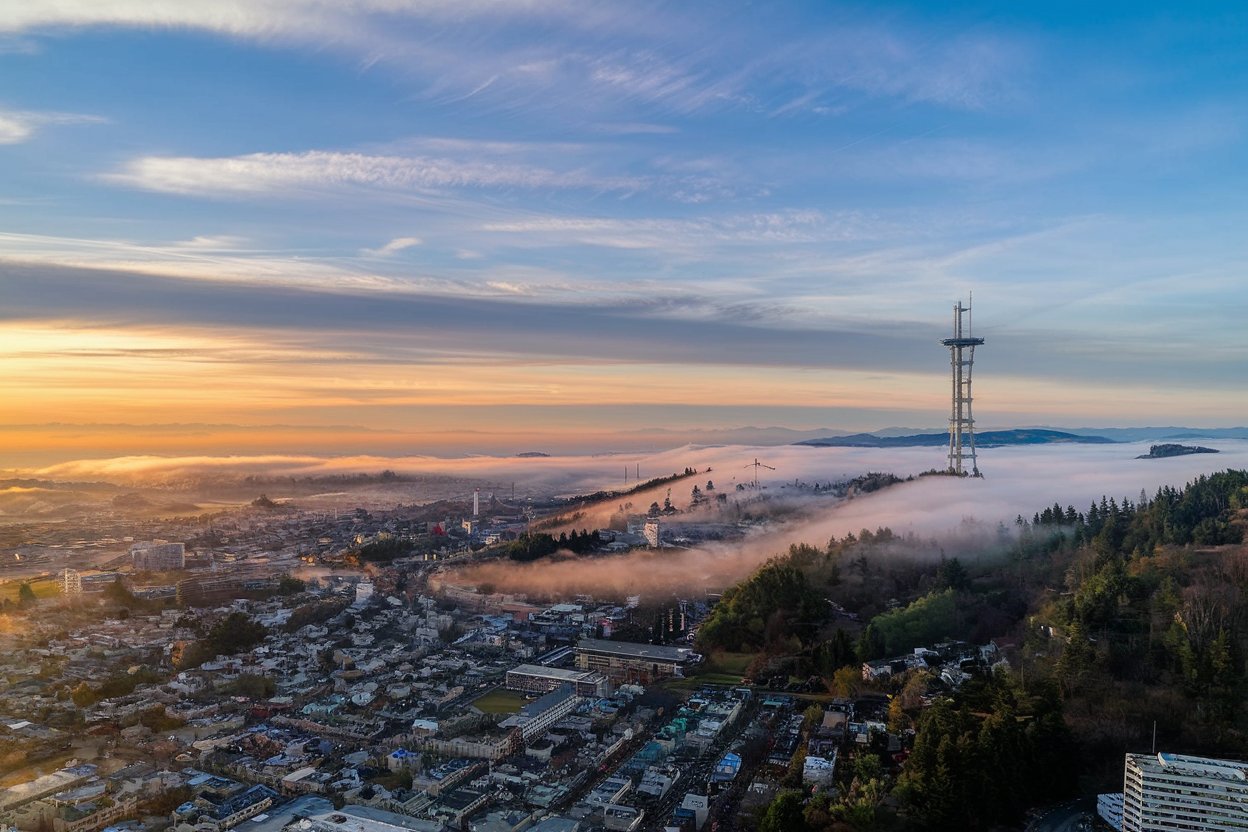 A breathtaking panoramic view of San Francisco from Twin Peaks, showcasing the city skyline, the bay, and rolling hills.